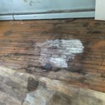 Black mold damages floor1