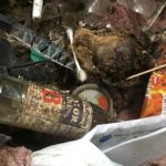 Moldy Bedroom Dump