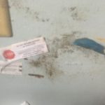 more mold on the walls
