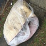 carpet damaged from mold