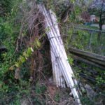 dumps of metal pipes tangled with poison ivy