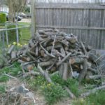 more firewood dumps