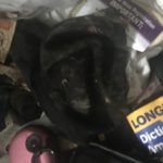 more Moldy Bedroom