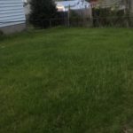 backyard restored